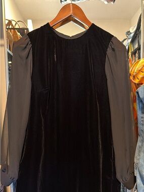 J. Crew Black Velvet Dress with Sheer Sleeves